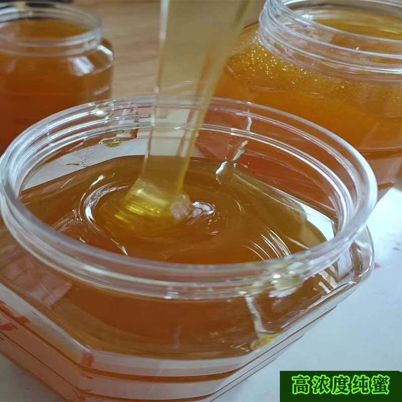 NONGRENDAMU/农人大木高山中华蜂五倍子土蜂蜜五倍子蜂蜜高浓度