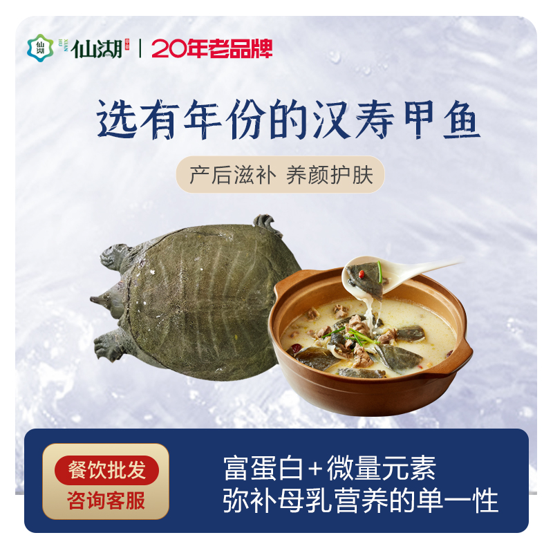 【端午节特惠】外塘冷水2.5斤生态中华甲鱼鲜活水鱼汉寿仙湖甲鱼