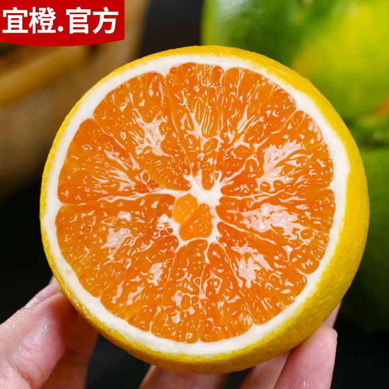 宜橙九月红脐橙 湖北宜昌 果冻橙5斤9斤爆汁细嫩橙子当季新鲜水果