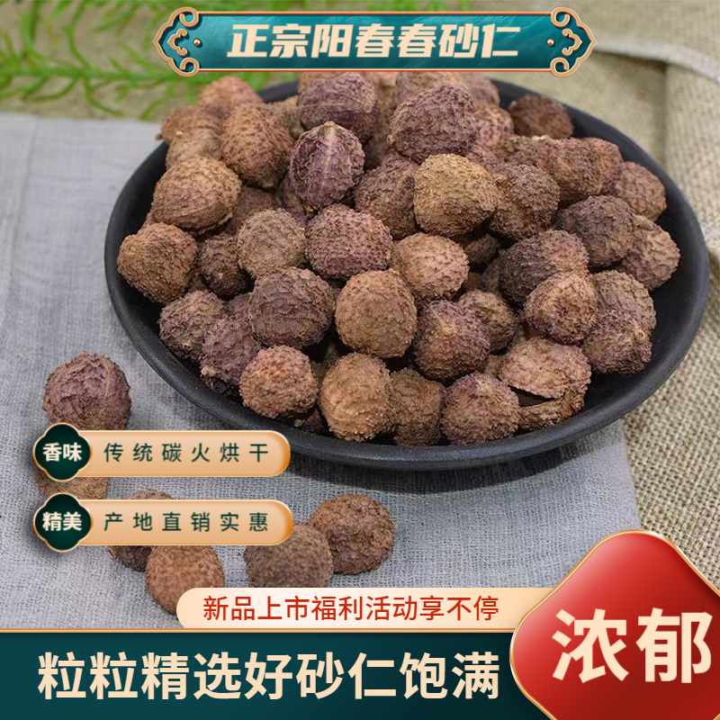 正宗阳春双滘新鲜春砂仁传统烘干精选大果干货香味浓郁包邮