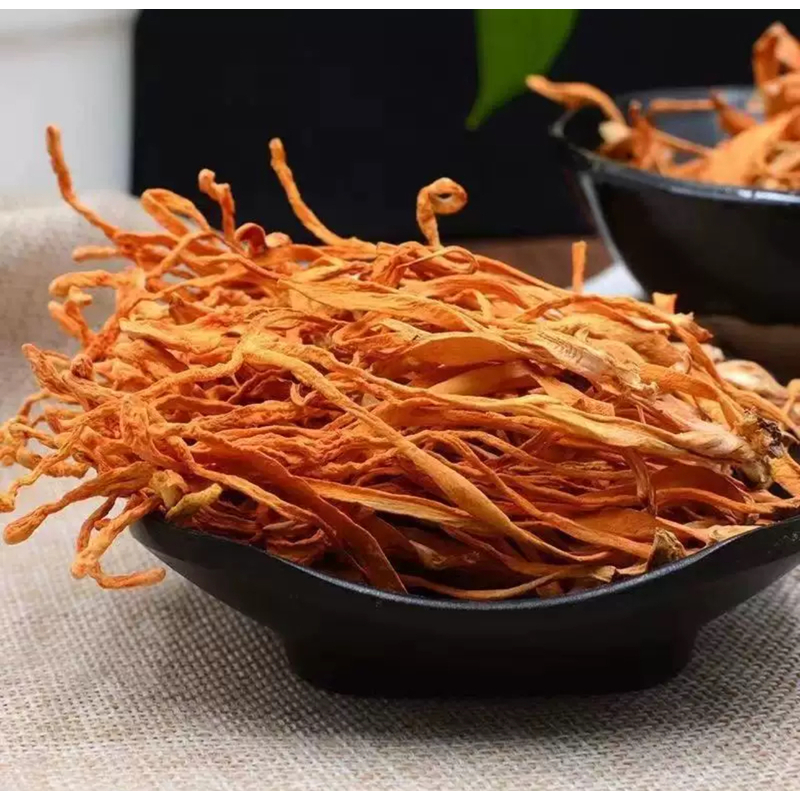 虫草花 干货特产优质虫草花送礼好物中秋