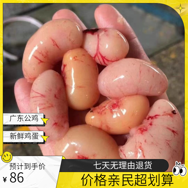广东三黄公鸡蛋新鲜精品大号鸡子鸡腰子鸡肾鸡卵鸡新鲜鸡腰子