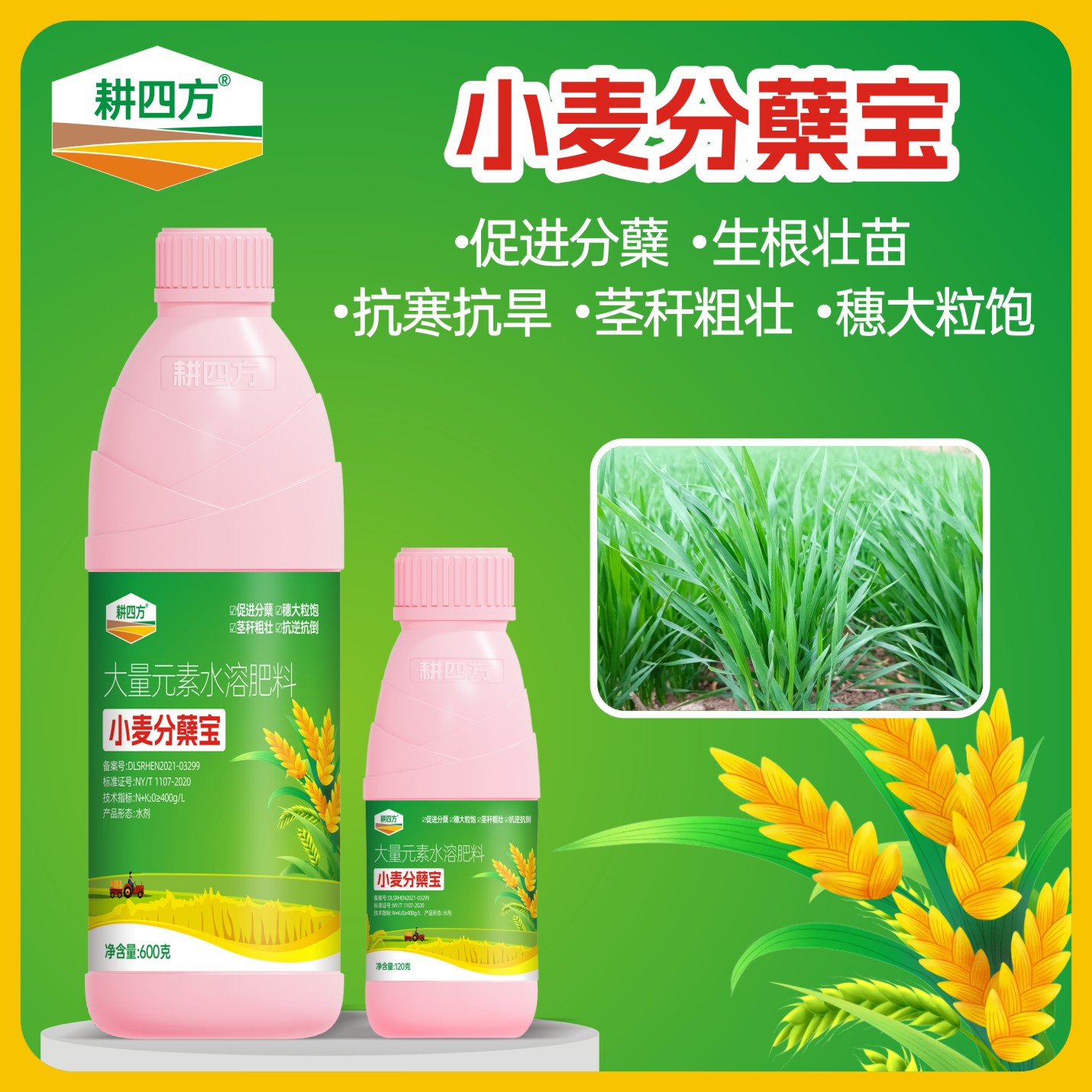 耕四方小麦分蘖宝加速促分蘖分壮蘖生根壮苗抗寒防冻大穗粒饱增产