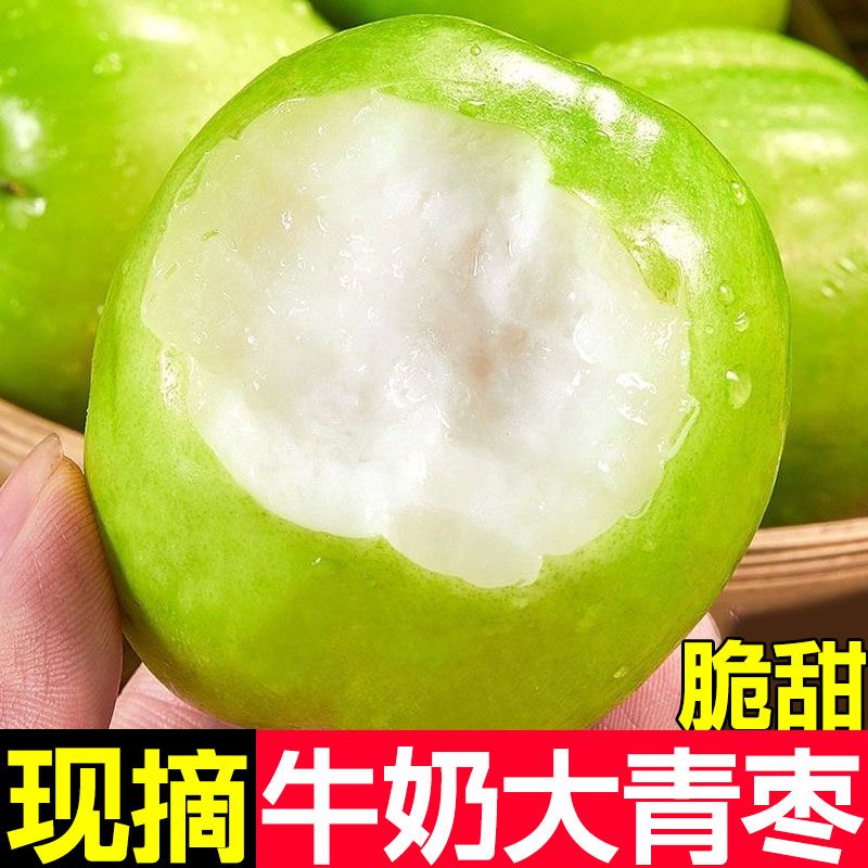 牛奶枣大青枣正宗脆甜新鲜应季水果现摘枣子苹果枣贵妃枣整箱批发