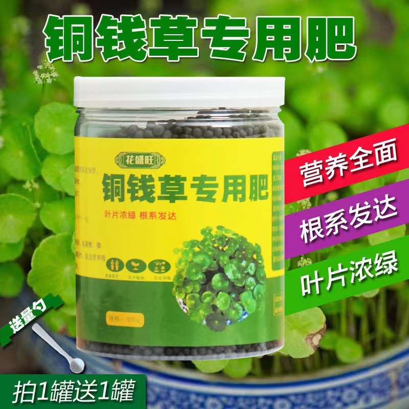 铜钱草专用肥营养液家用养花肥料盆栽通用土培水培钱币草金钱莲肥