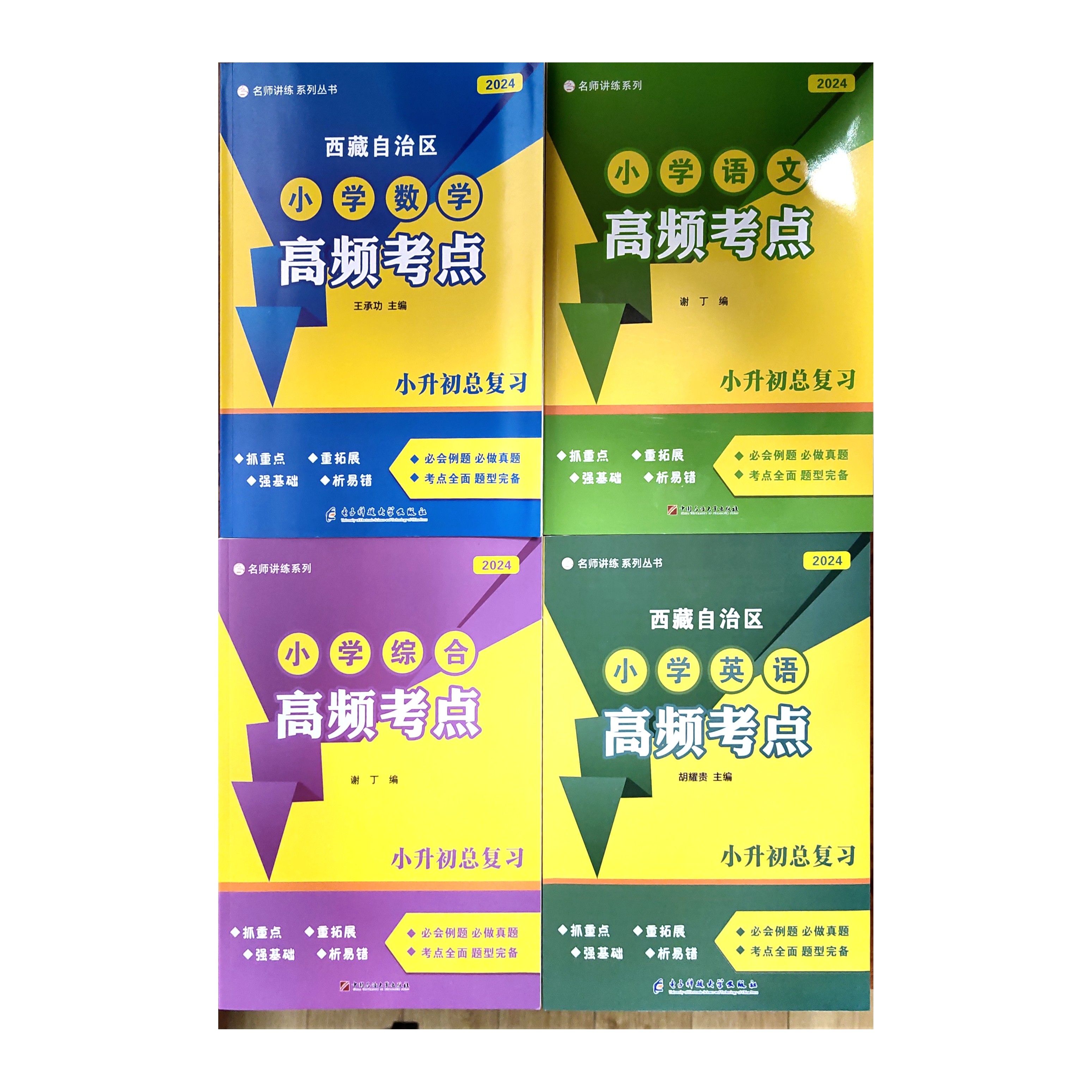 西藏自治区小升初总复习高频考点（语文、数学、英语、综合）