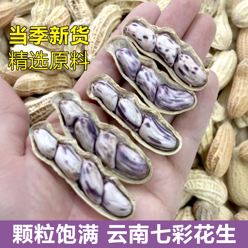 云南七彩花生带壳新花生水煮咸干新鲜晒干颗粒饱满花生米