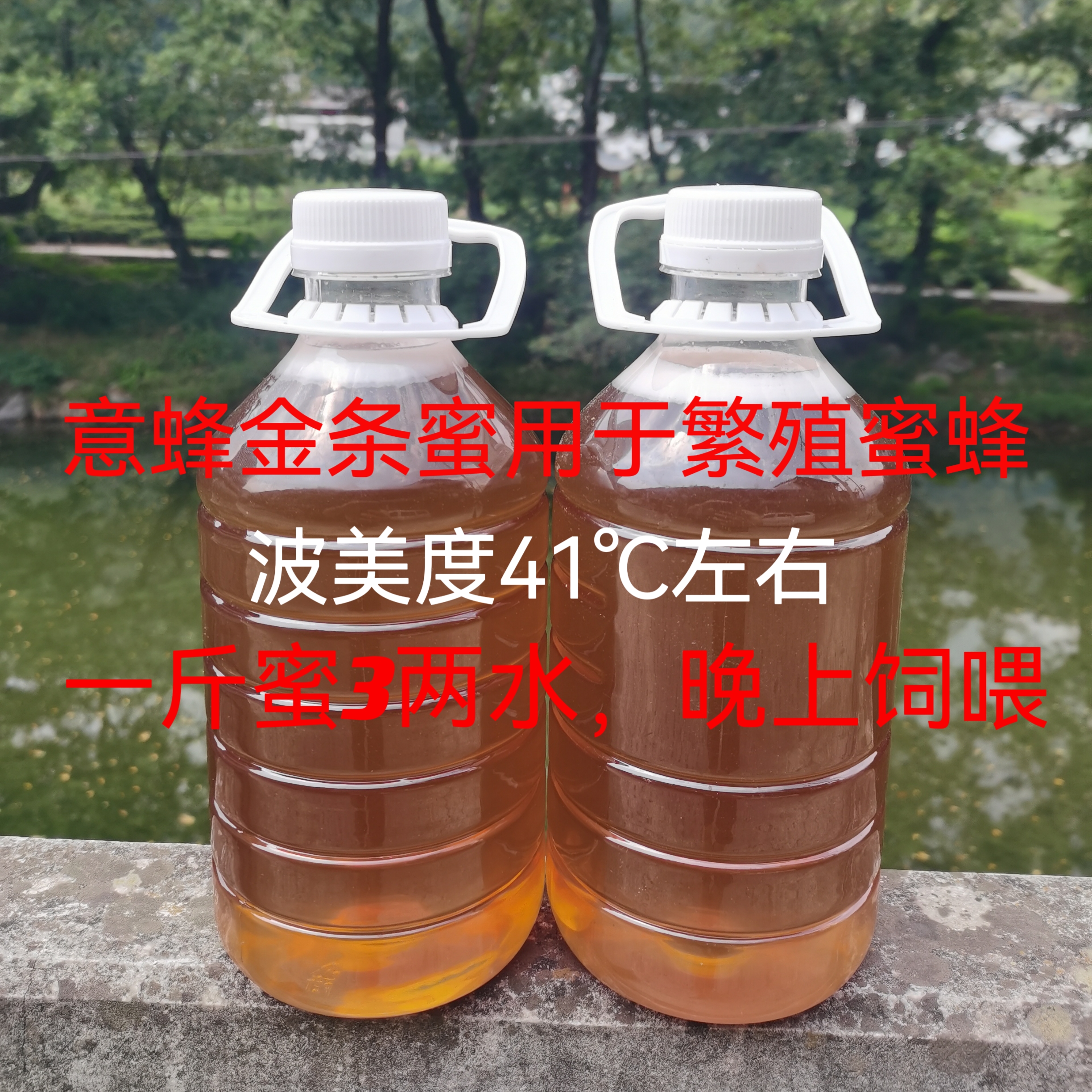 繁蜂口粮越冬饲料蜂蜜养蜂金条蜜用于繁殖蜜蜂饲喂越冬饲料