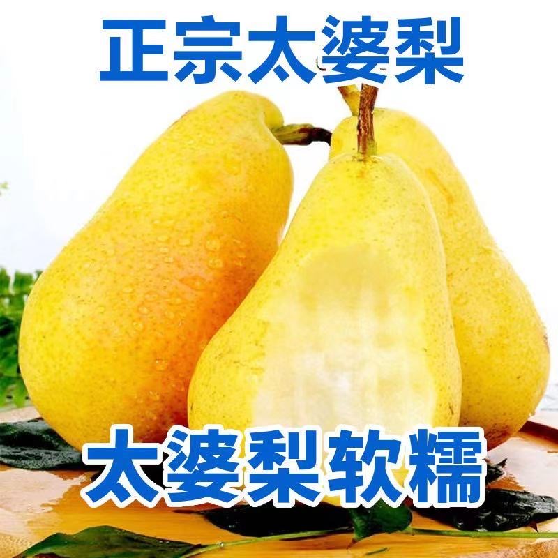 正宗烟台太婆梨香蕉梨软糯香甜青啤梨大头梨产地直发净重4.5斤