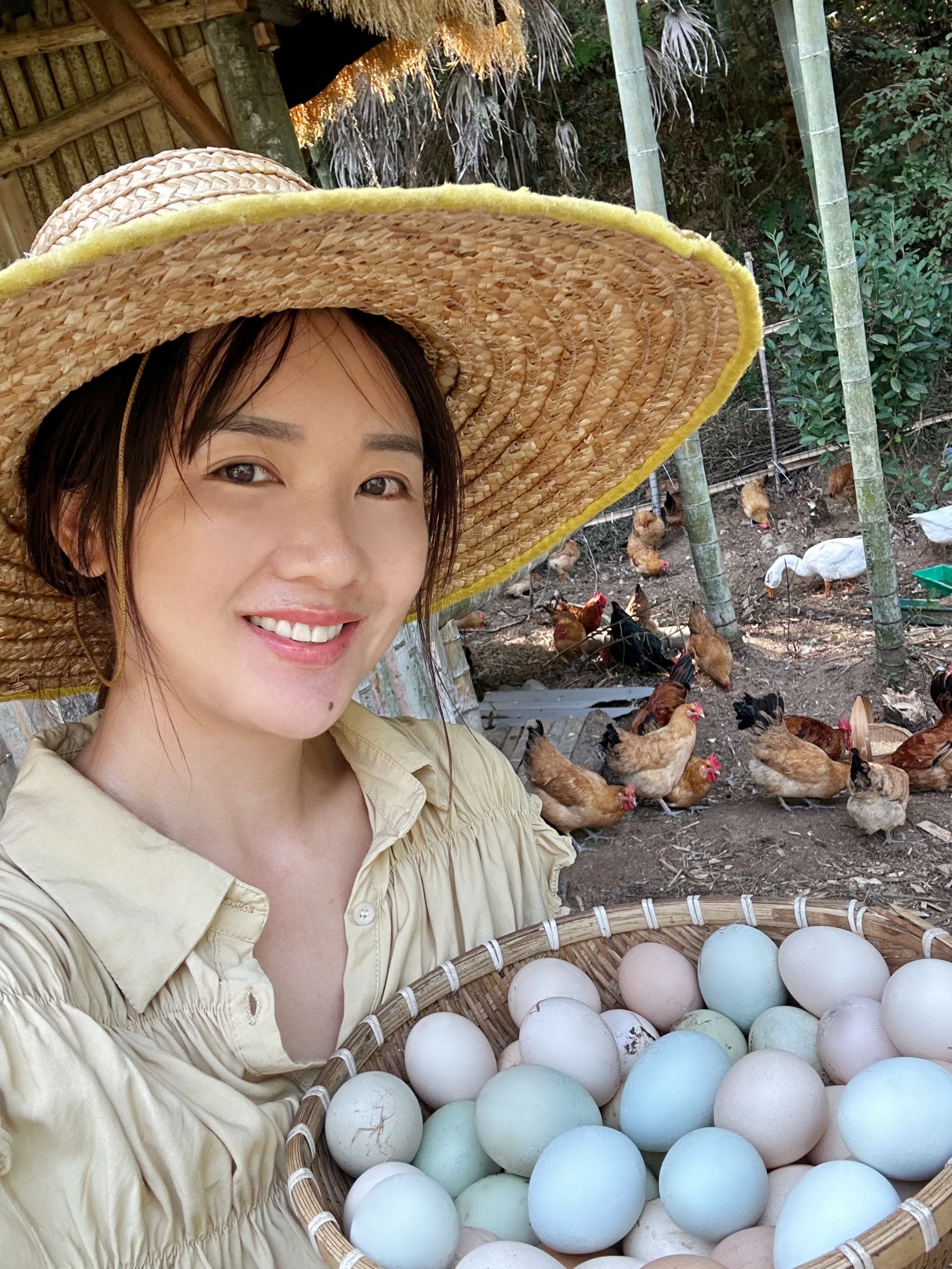 山林散养土鸡蛋新鲜现发40枚（包邮）