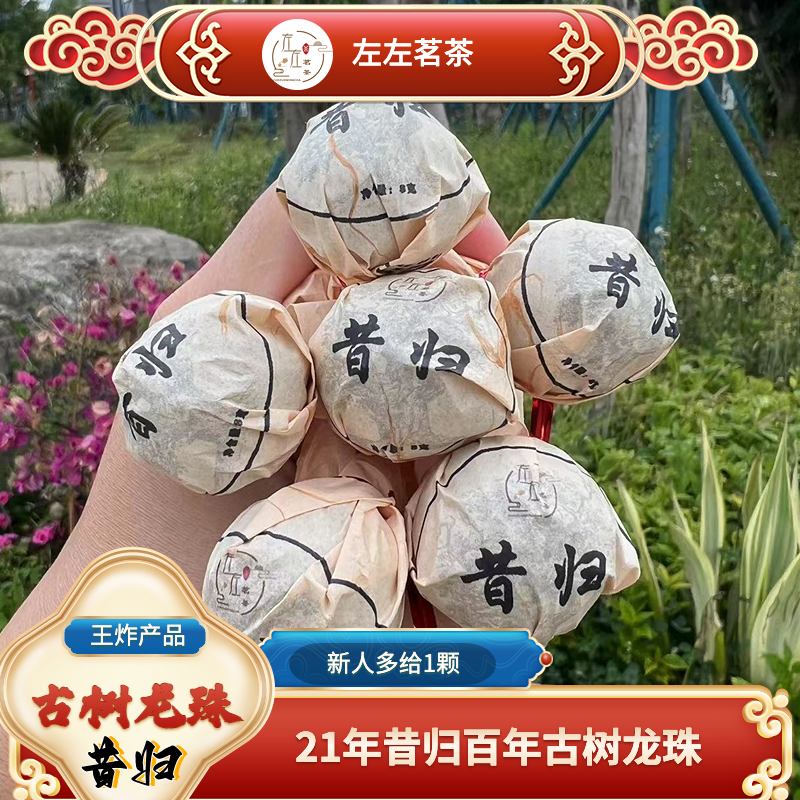 【21年昔归忙麓山】昔归头春头采百年古树龙珠