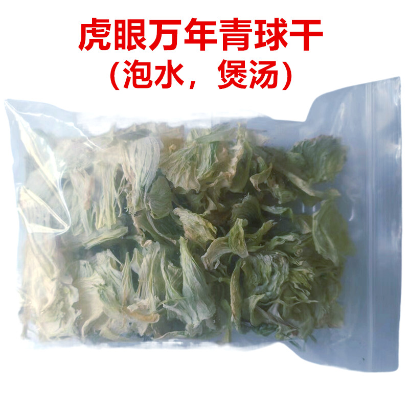 虎眼万年青茶盆栽可食用自然中草药胶囊精选甄选冻干粉球干养殖