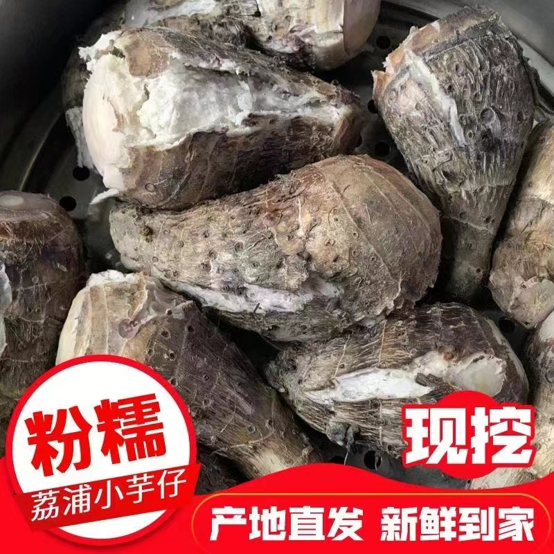 广西小芋头仔正宗小香芋新鲜芋头槟榔芋现挖现发粉糯香甜