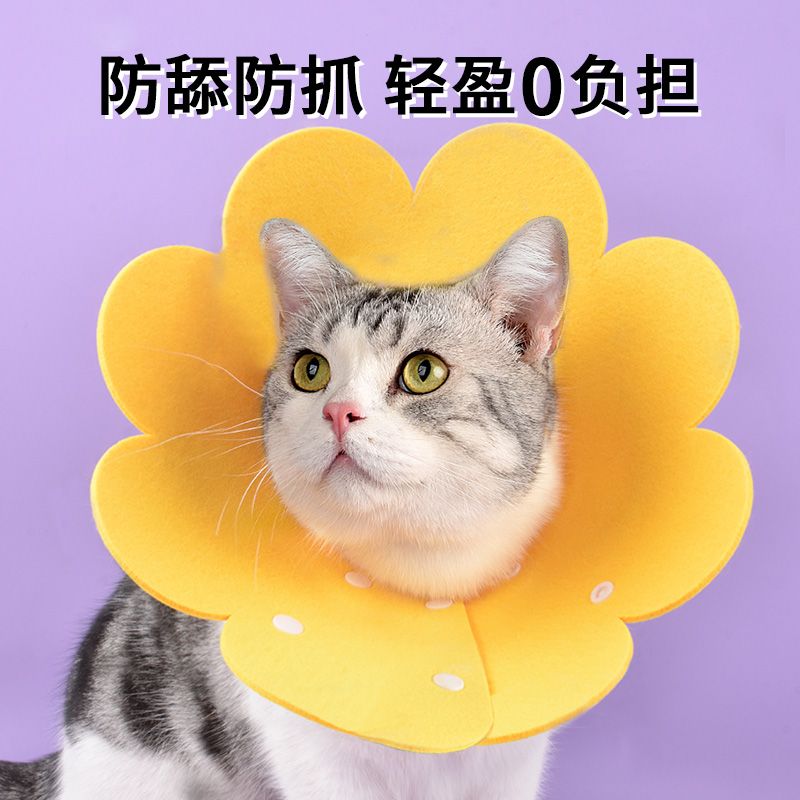 伊丽莎白圈猫咪绝育项圈伊利沙白圈防舔颈圈头套狗狗脖圈宠物用品