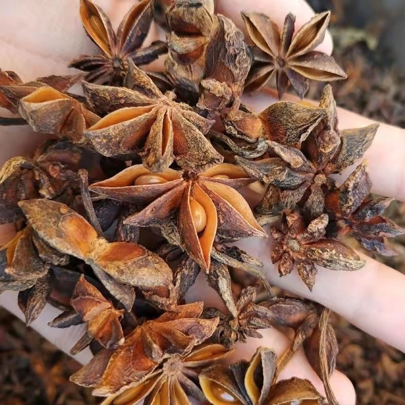 广西足干 老树大红八角 产地直发去腥增增香颗粒
