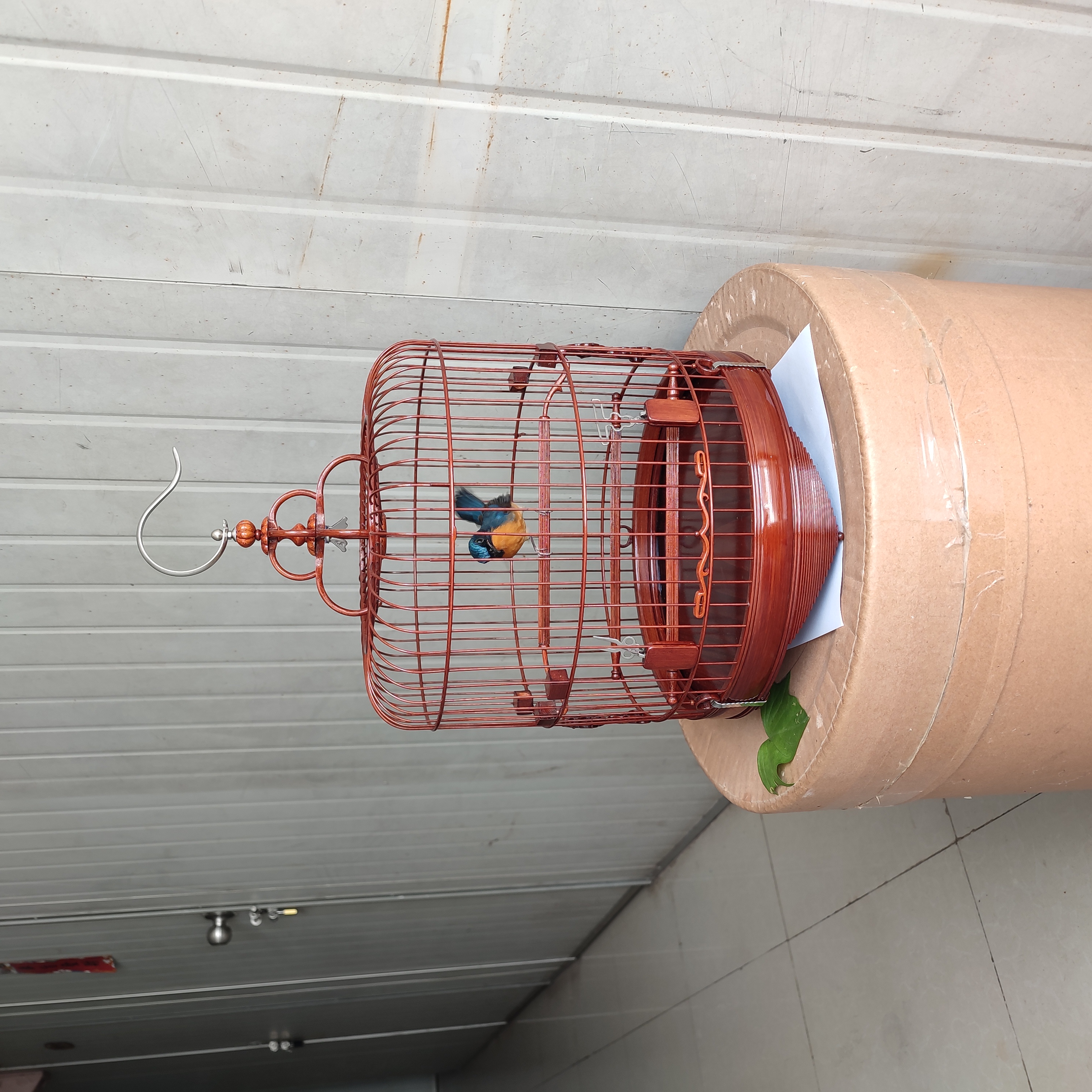 高档广笼清远笼60/52枝直径28/24活底竹制生漆绣眼金青线条脚鸟笼