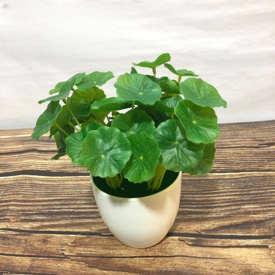 仿真花小荷叶铜钱草家居摆设 客厅鱼缸插花绿植 桌面摆件陶艺装饰