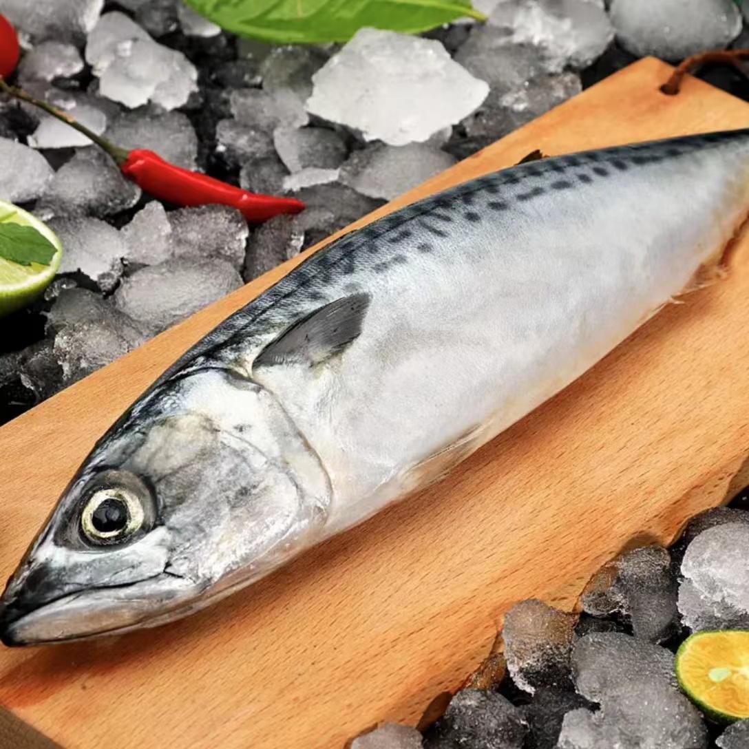 【小妹】东山岛速冻青花鱼4-5两/条野生鲐鲅鱼青占速冻发货