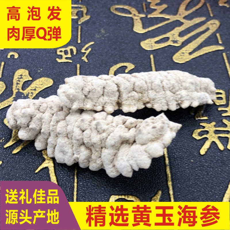 大黄玉参野生淡干黄肉参刺王黄金参孕妇滋补金海参方刺参水产干货