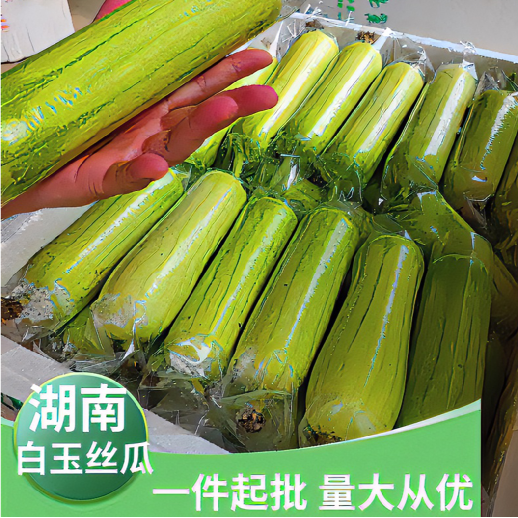 湖南白玉丝瓜新鲜现摘产地直发露天种植鲜嫩多汁农家蔬菜