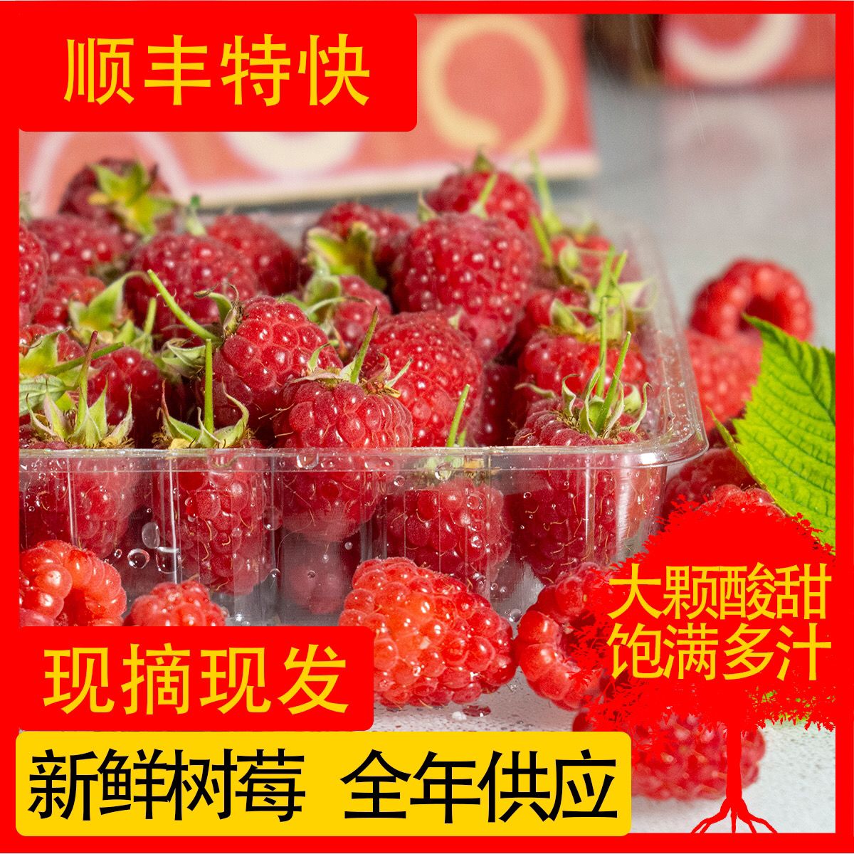 【带叶现摘】新鲜红树莓鲜果红颜覆盆子125g/盒稀有水果礼盒