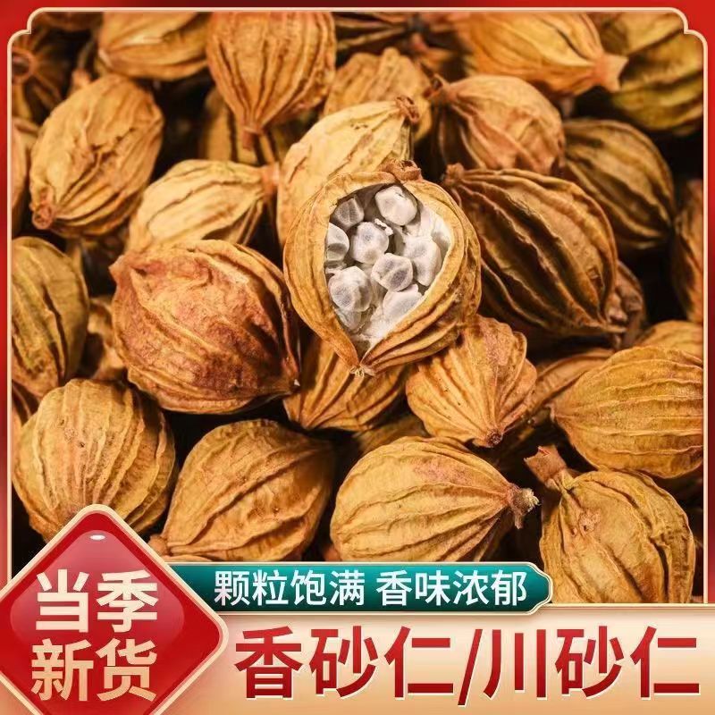 香砂仁川砂仁沙仁金砂仁优质四川特产炖卤肉卤菜炖汤调料香料大全