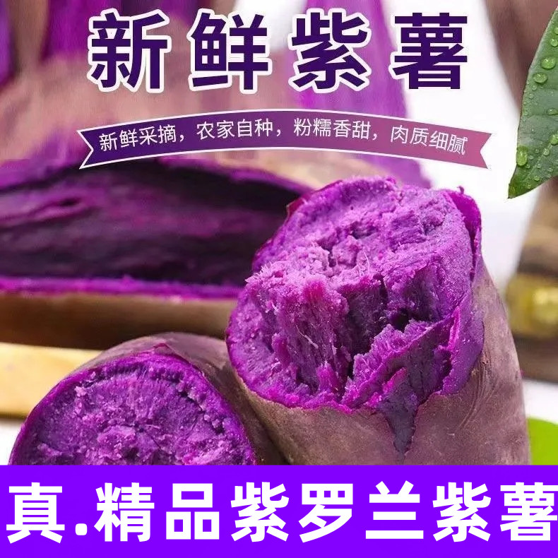 【新鲜紫罗兰紫薯】现挖农家小个头沙地紫红薯番薯地瓜粗粮5/3斤