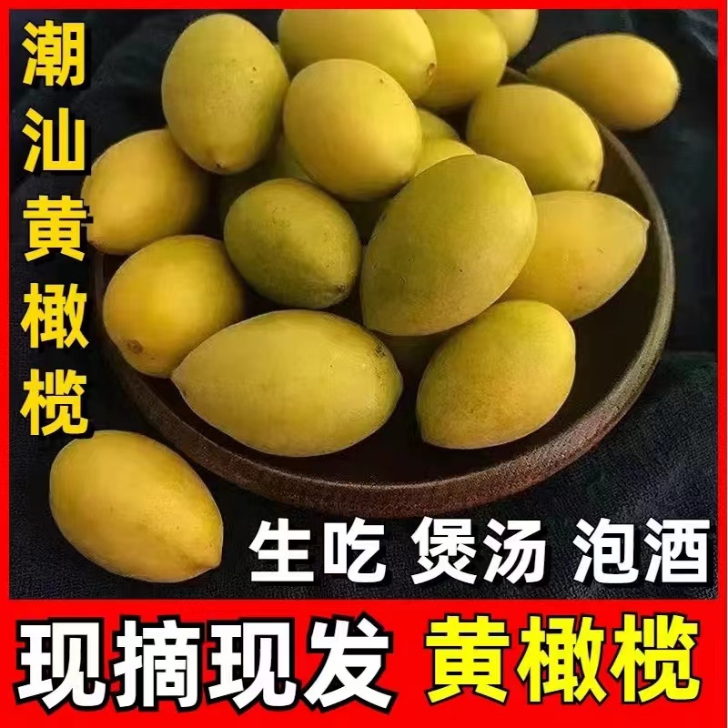 潮汕金灶香种橄榄黄橄榄煲汤榨汁回甘橄榄味十足500g包邮