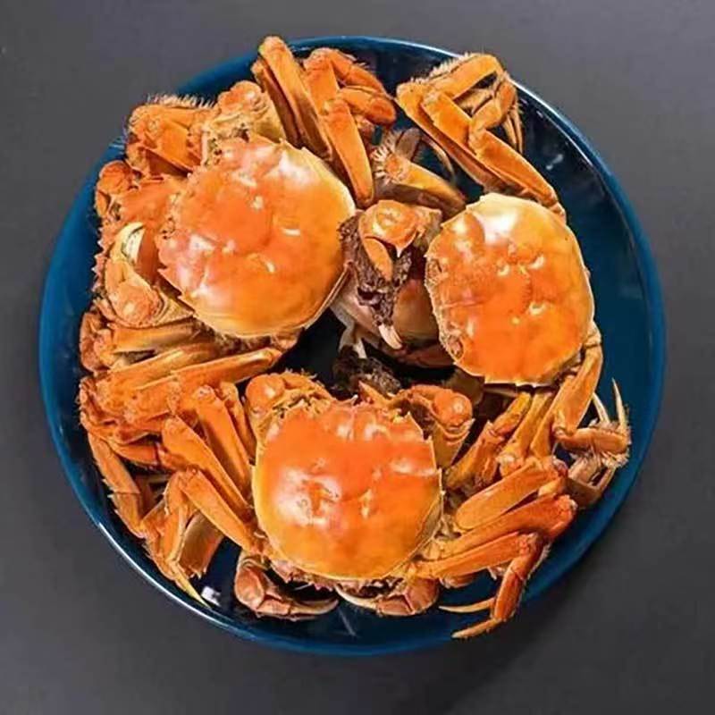 盘锦河蟹母蟹1.4-1.6两/只3斤