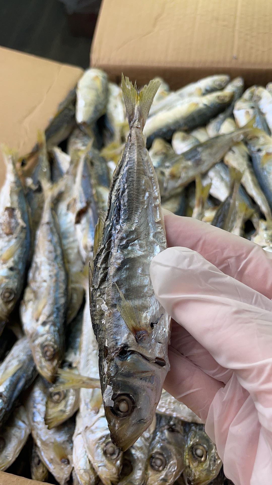 东山岛本地黄尾巴浪鱼干