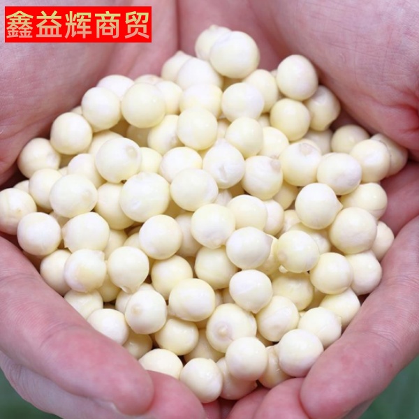 【鑫益辉】正宗干货苏芡野生500g包邮