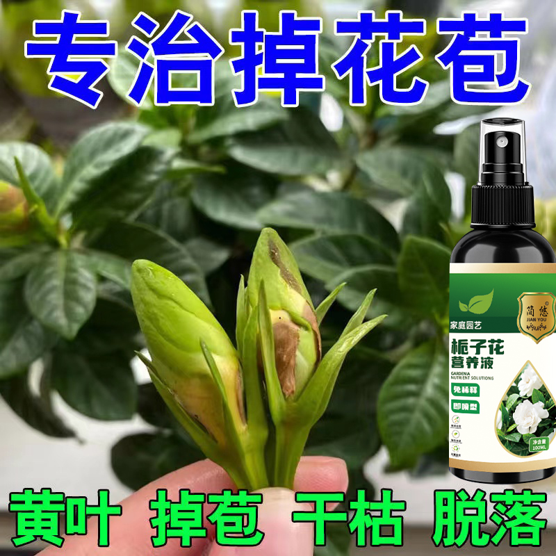 【越养越旺】栀子花专用肥免稀释营养液治黄叶烂根催芽专用营养液