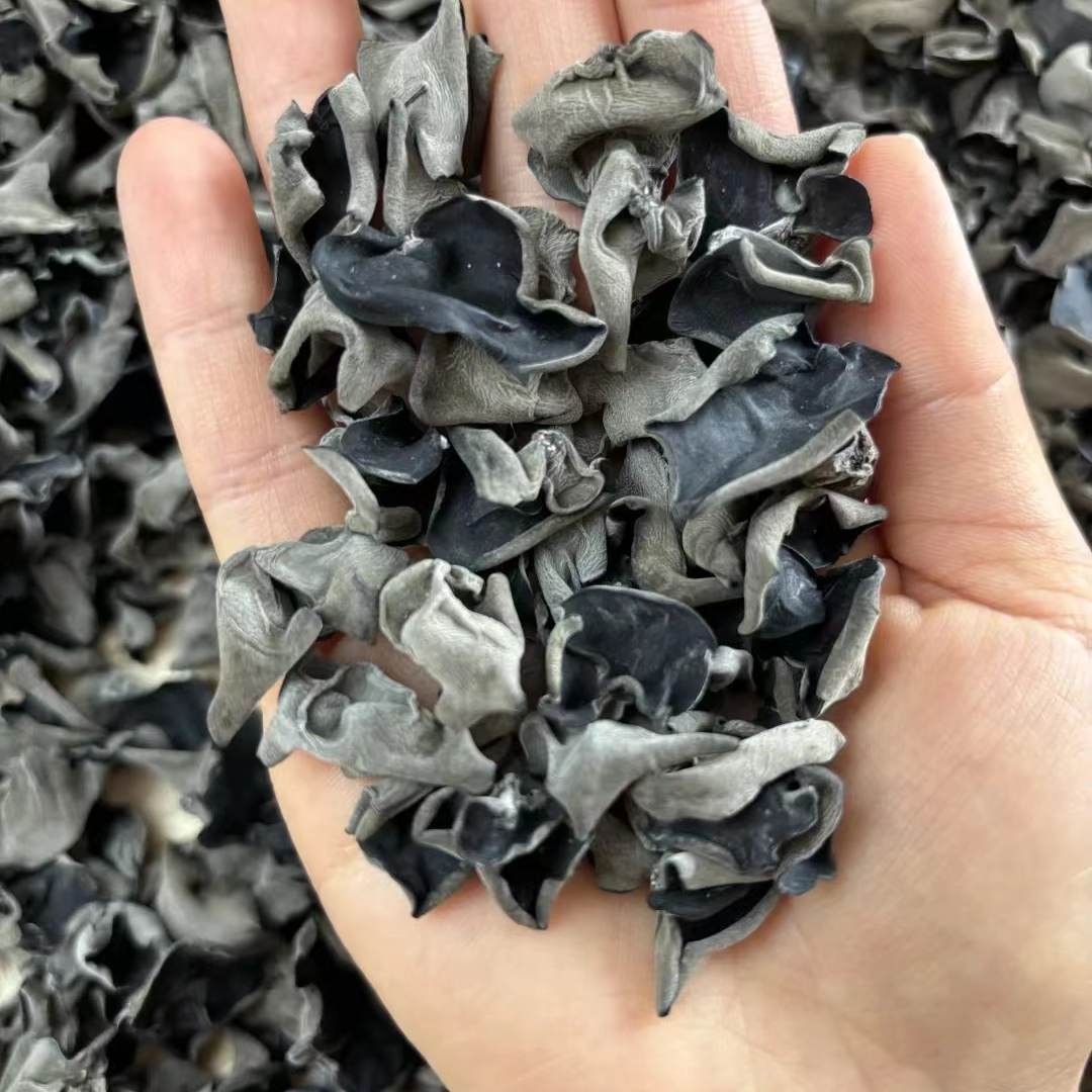 东北特产黑木耳干货无根肉厚秋木耳黑木耳正品