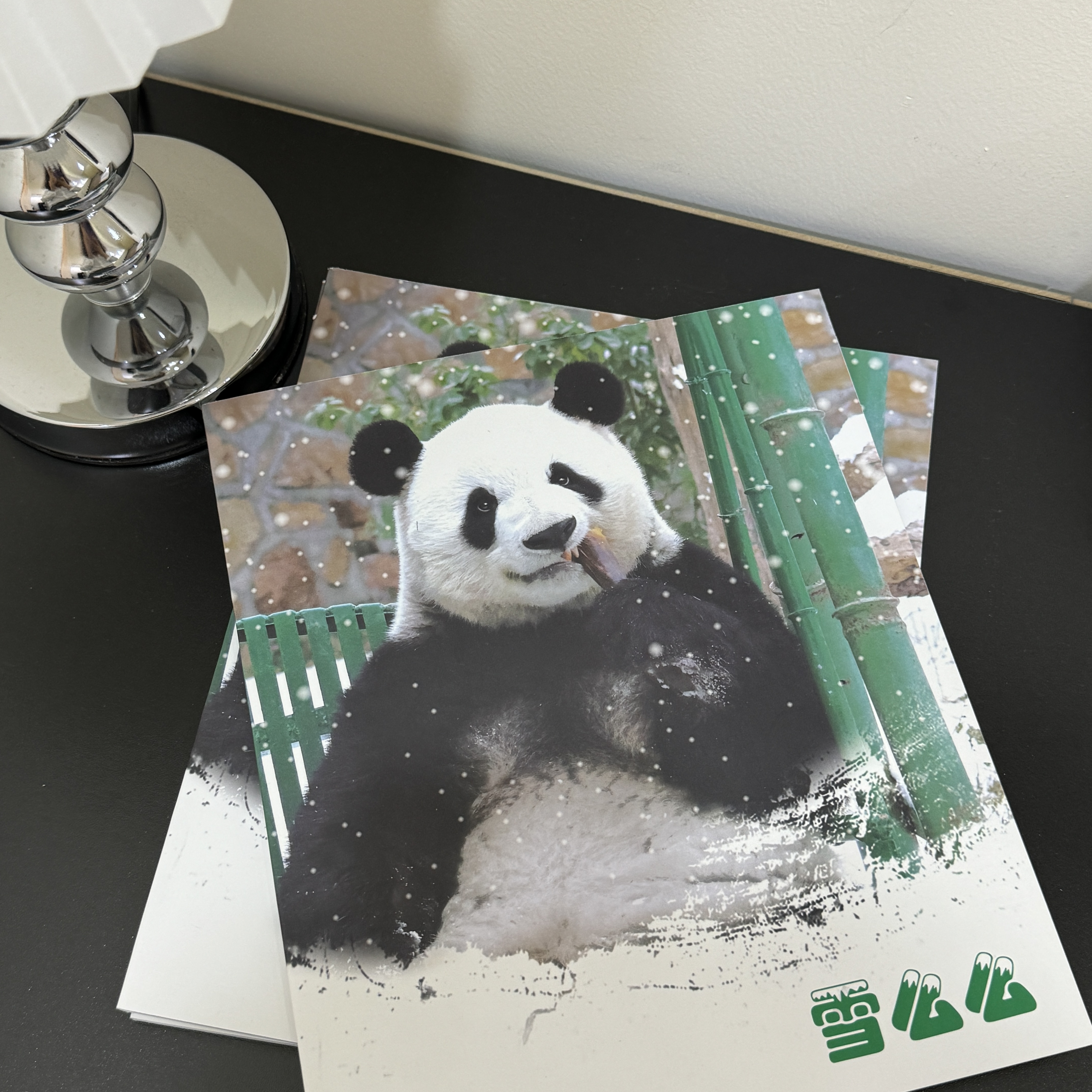 【萌兰】2023雪么么画报