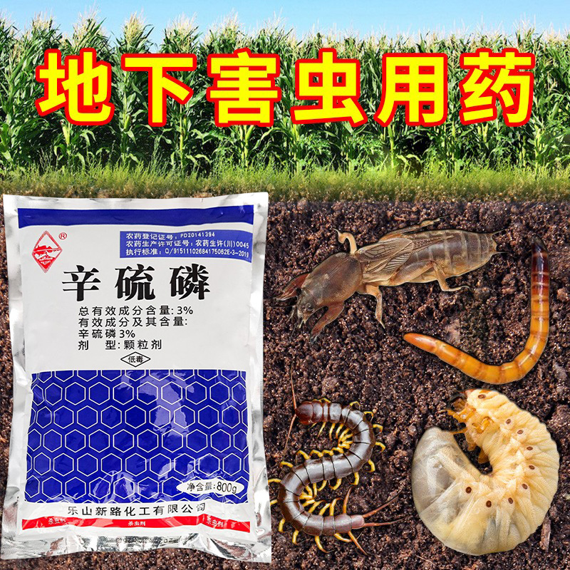 辛硫磷颗粒剂土壤杀虫剂地下上害虫玉米马铃薯蛴螬专用撒施农药