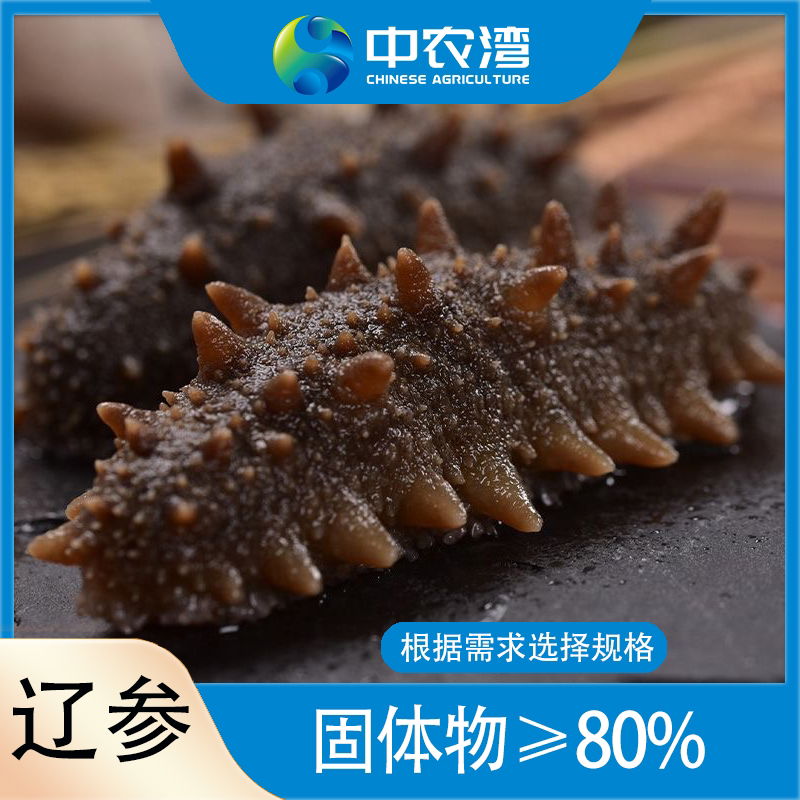 【辽参】中农湾即食海参 固体物≥80%