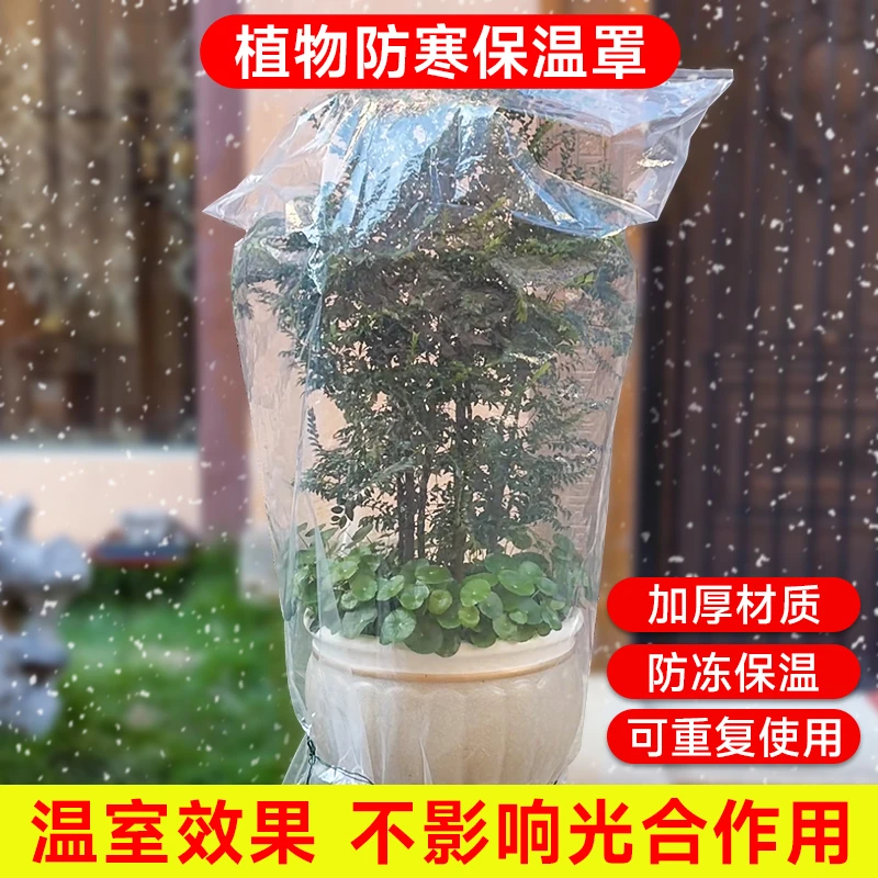 绿植防冻保温袋透明膜果树过冬防寒罩花卉盆栽过冬塑料膜保护罩