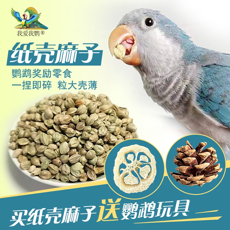 薄皮训练纸壳麻子玄凤牡丹小太阳和尚增肥奖励零食鹦鹉鸟鹦鹉食粮