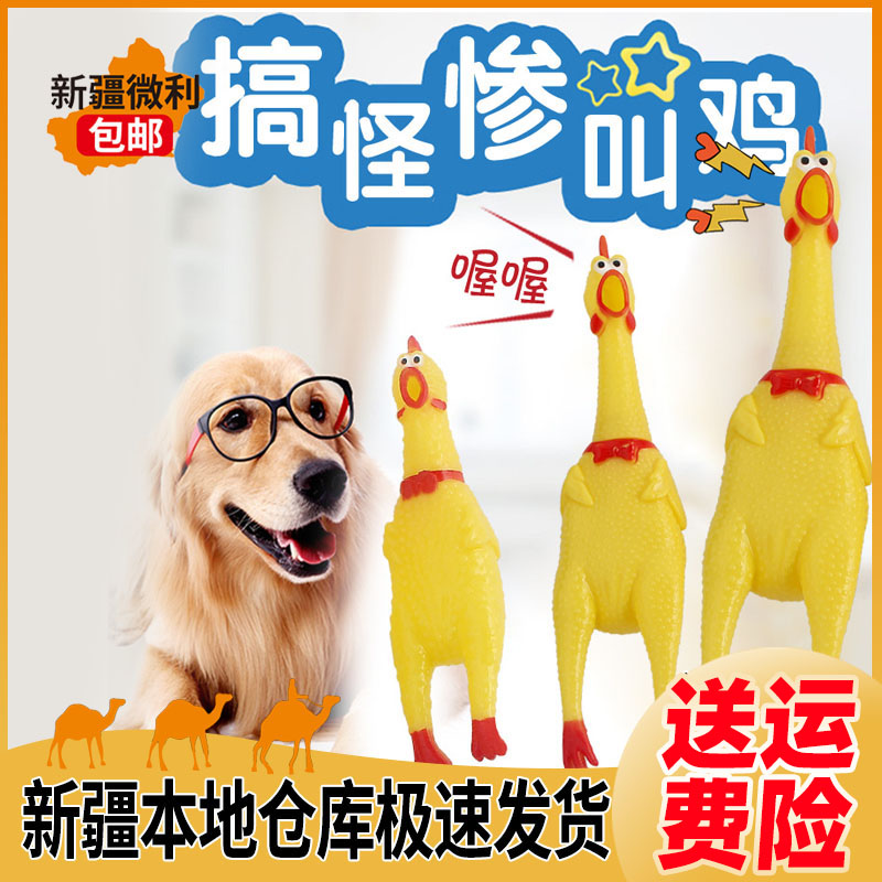 新疆包邮发货  尖叫鸡惨叫绝望鸡狗狗玩具耐咬会叫的鸡解压鸡