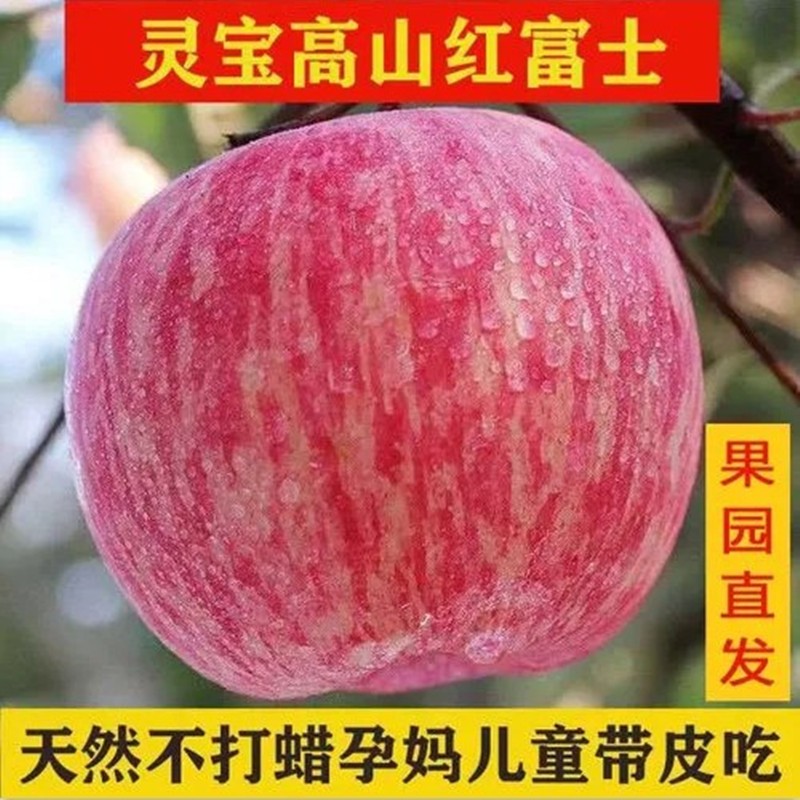 2025年新果河南灵宝苹果红富士苹果寺河山富硒苹果冰糖心9斤包邮