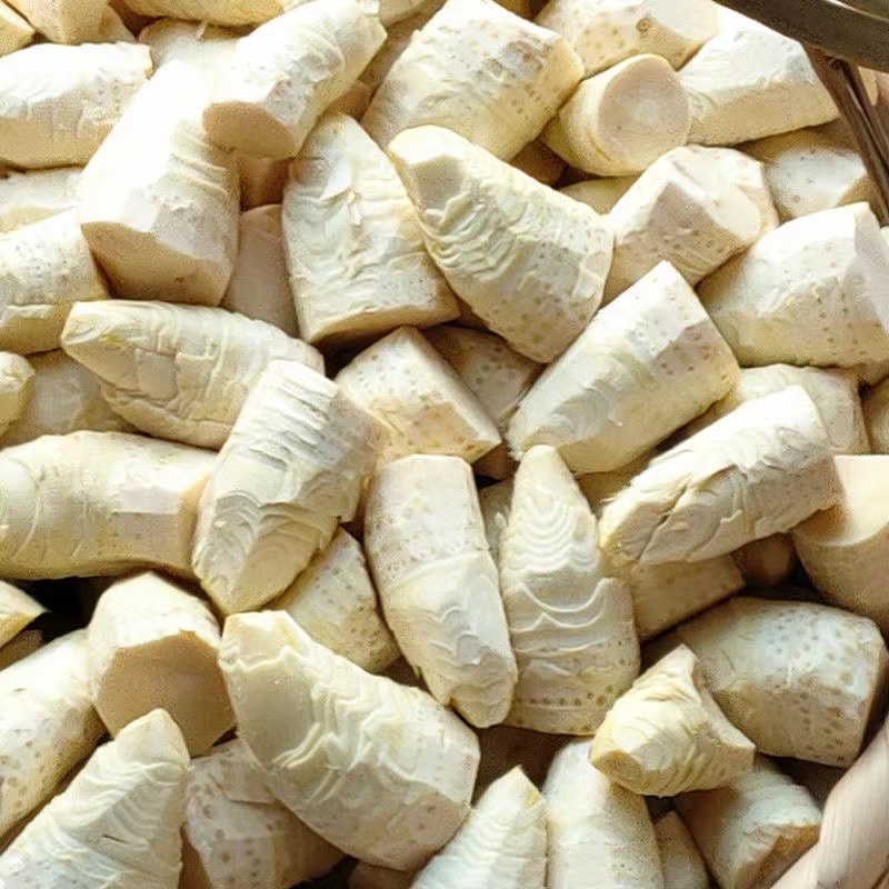 2025年新鲜嫩无比的冬笋肉竹笋黄泥笋现挖现发现剥笋肉鲜嫩脆口爽