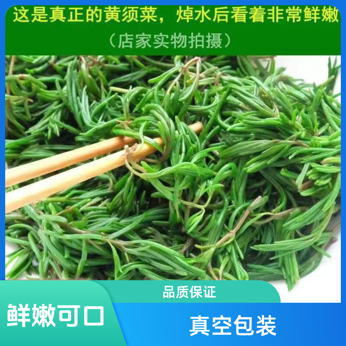 山东凉拌黄须菜真空锁鲜营养美味鲜嫩可口真空包装3斤火锅食材