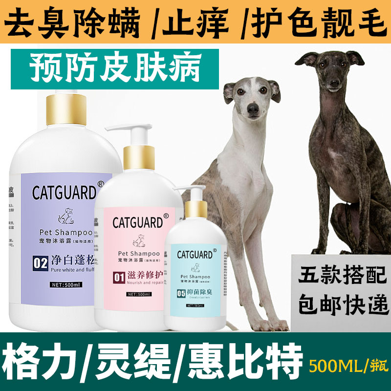 灵缇格力惠比特犬专用沐浴露抑菌除臭止痒除螨预防皮肤病狗狗香波