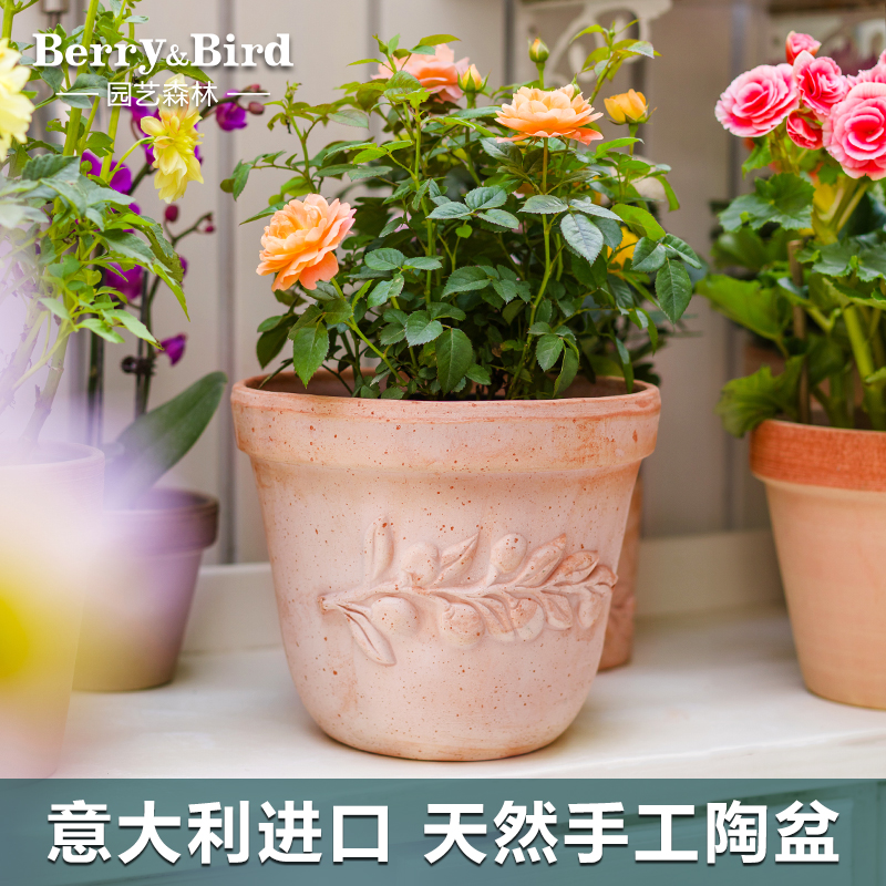 Berry&Bird进口手工花盆家用阳台园艺种花天然陶土盆大号方形简约