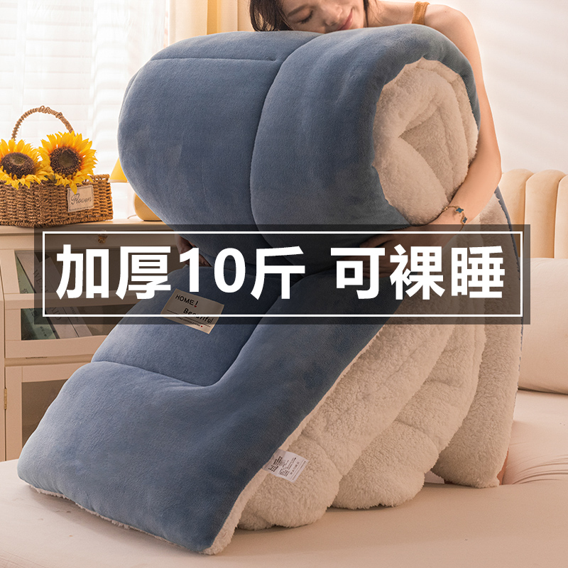 加厚保暖羊羔绒被子被芯雪花绒冬被加绒棉被褥学生单人宿舍春秋被