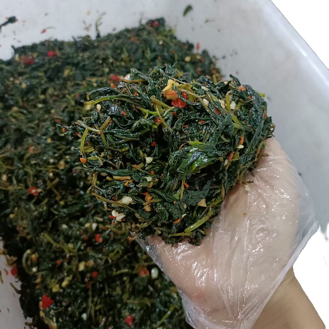河南信阳新县特产腌荆芥下饭菜 手工制作拌料每天现做发货2斤包邮