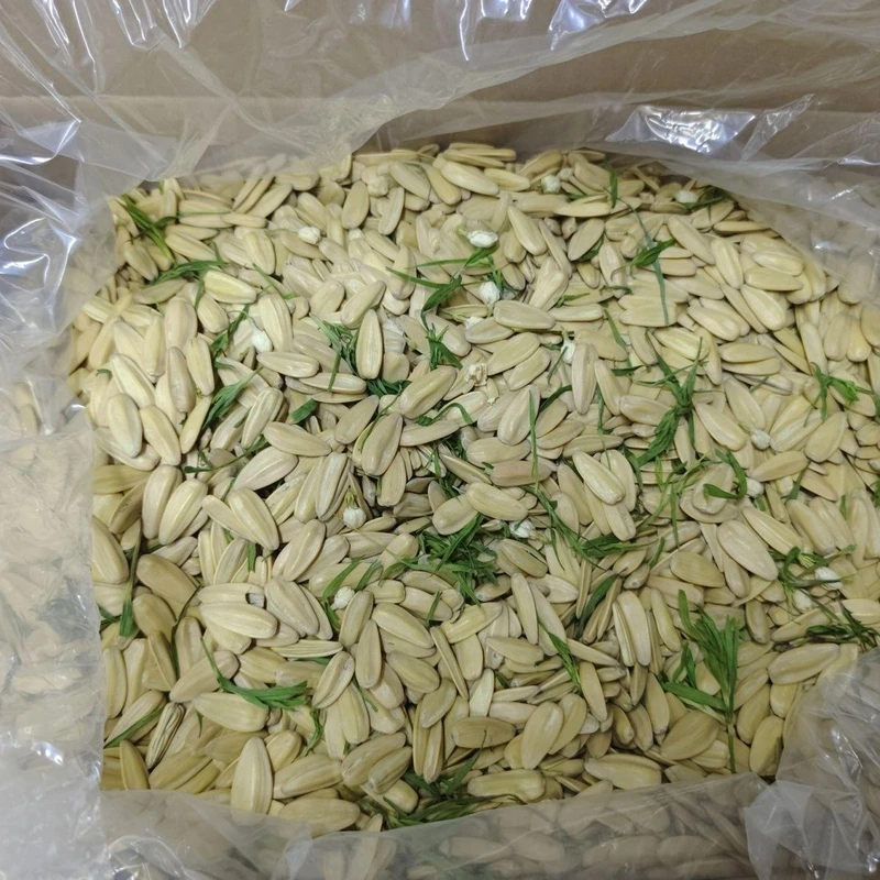 竹韵茶香茉莉瓜子零食炒货500g整箱葵花籽休闲散装新款新货袋装