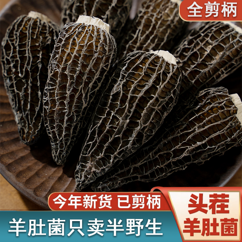 【精品羊肚菌】精品头茬羊肚菌全剪脚炖汤新货产地直发20g-500g