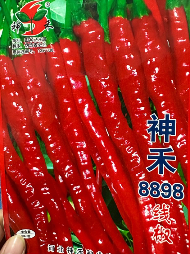 神禾线椒籽（辣椒籽）8898拍一发二