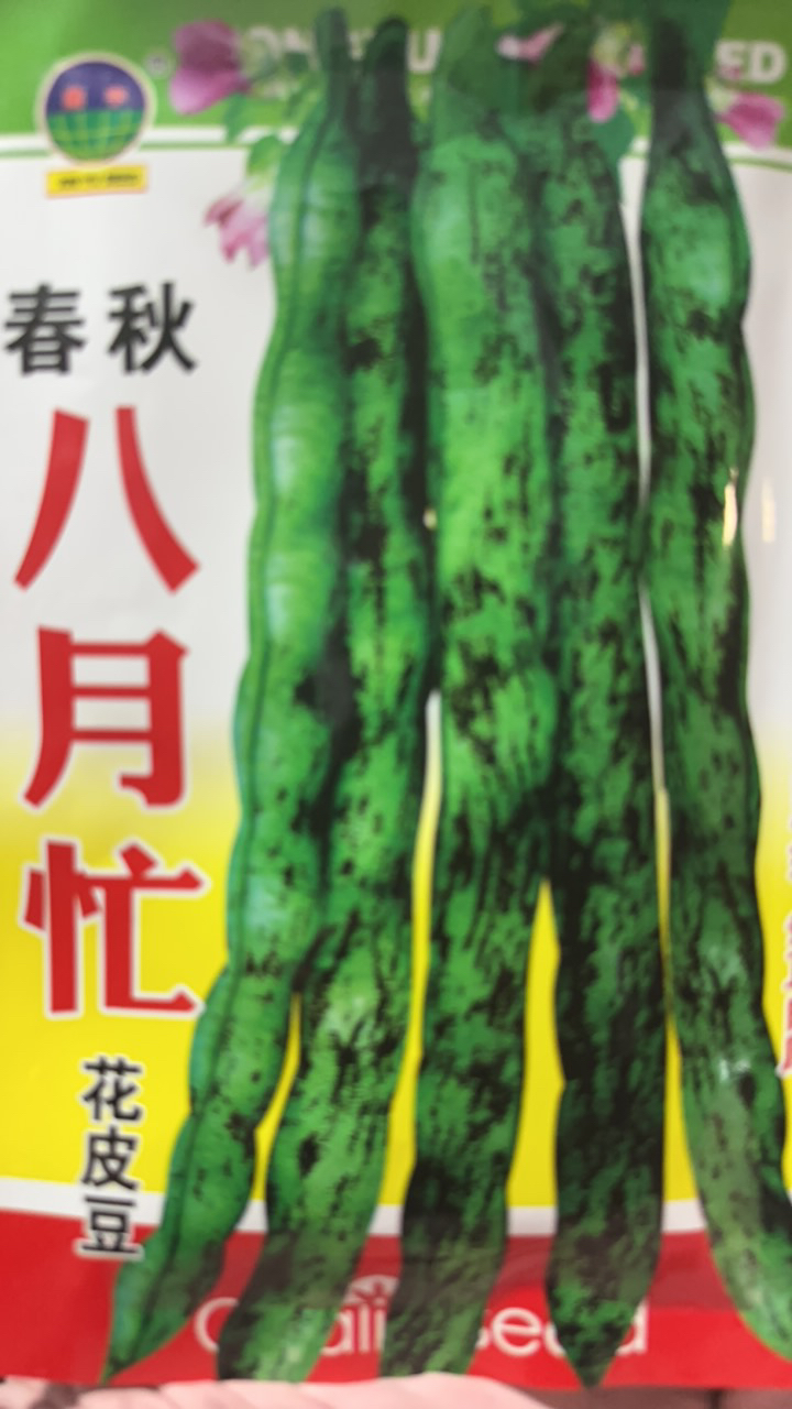 春秋八月忙花皮豆